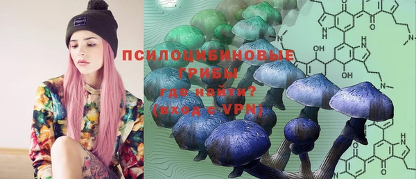 Альфа ПВП Абаза